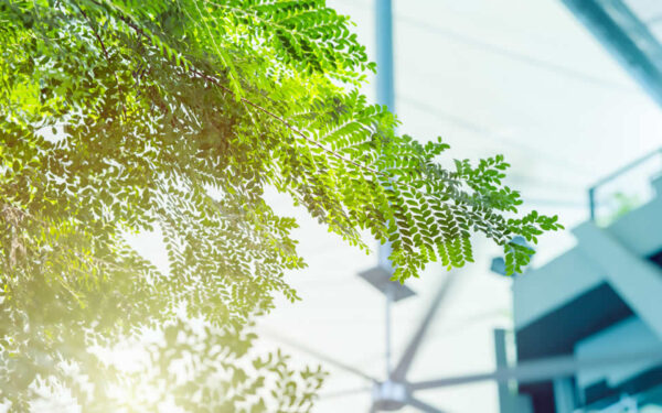 New Jersey Cool Program Offers Financial Support for Eco-Friendly Retrofits in Commercial Buildings New Jersey Cool Program Offers Financial Support for Eco-Friendly Retrofits in Commercial Buildings