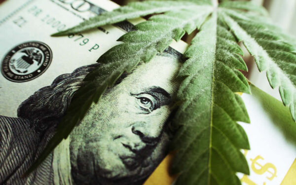 New York City Allows Cannabis Operators to Deduct Business Expenses from Local Taxes New York City Allows Cannabis Operators to Deduct Business Expenses from Local Taxes