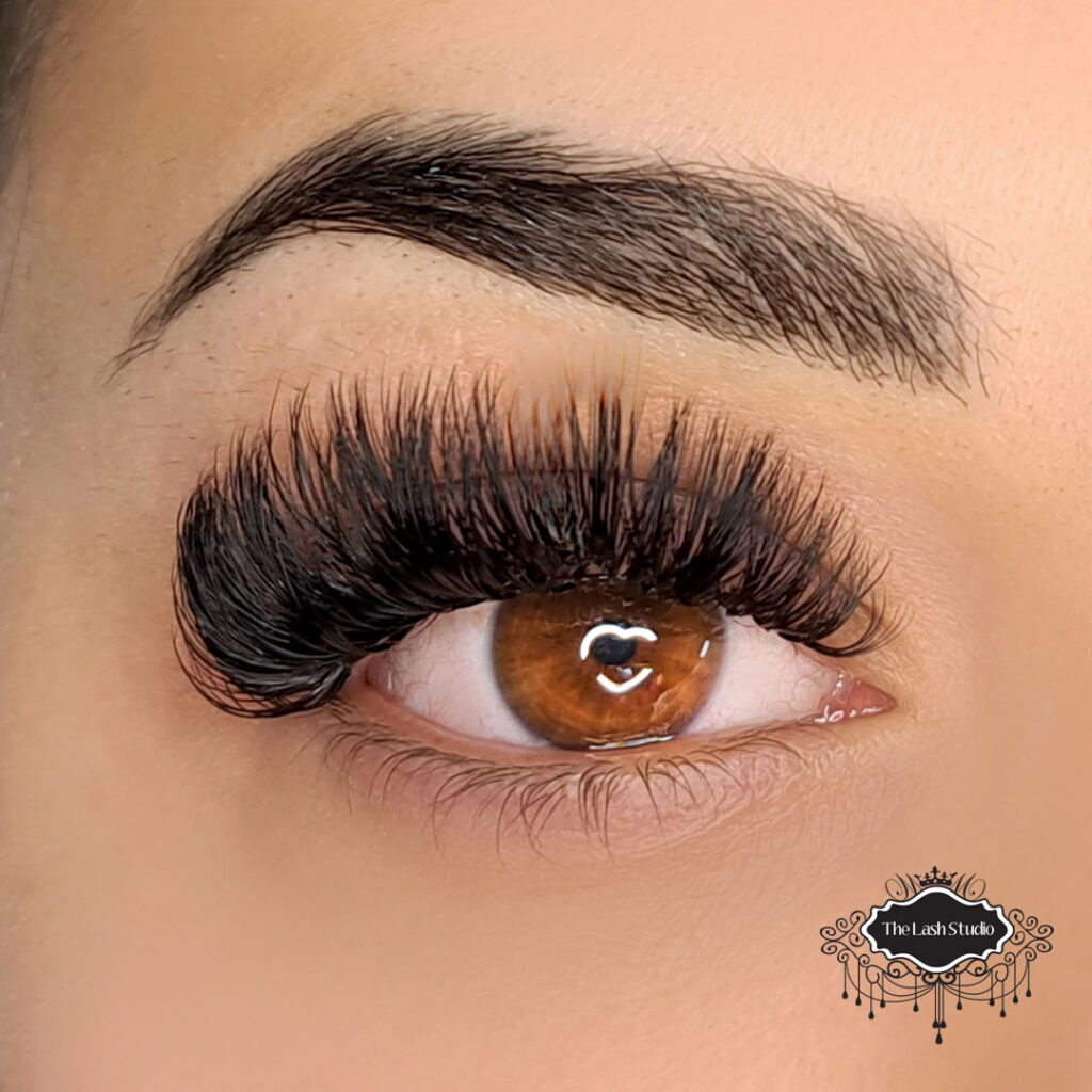 Volume Eyelash Extensions Newtown Sydney Inner West Lash Salon