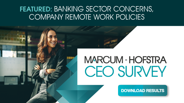 Marcum-Hofstra CEO Survey No. 2, 2023